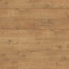 5537 Tawny Chestnut