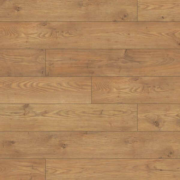 5537 Tawny Chestnut