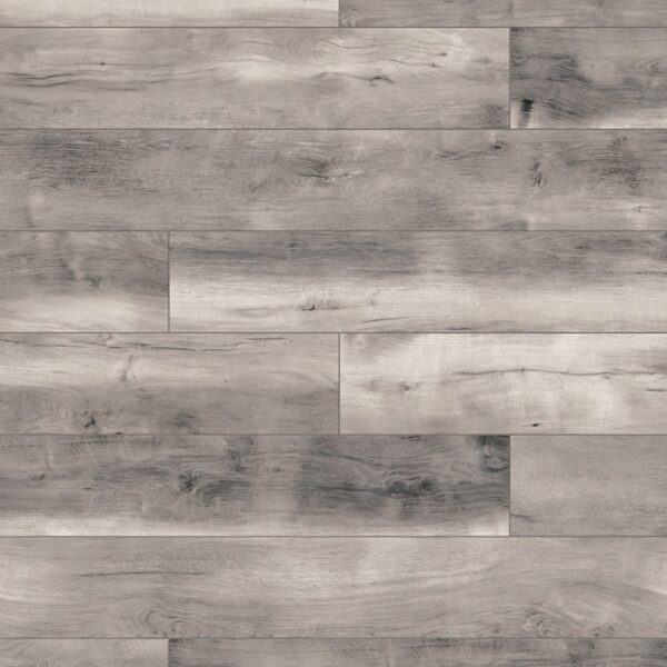 K413 Blacwater Oak
