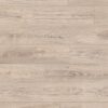 K478 Mushroom Carpenter oak