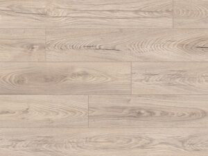 K478 Mushroom Carpenter oak