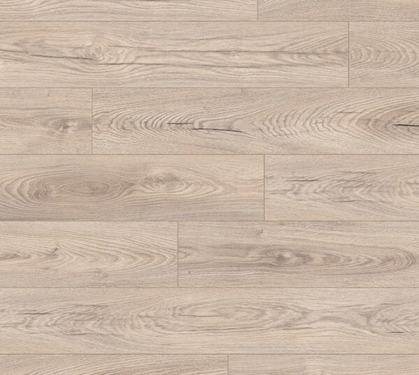 K478 Mushroom Carpenter oak