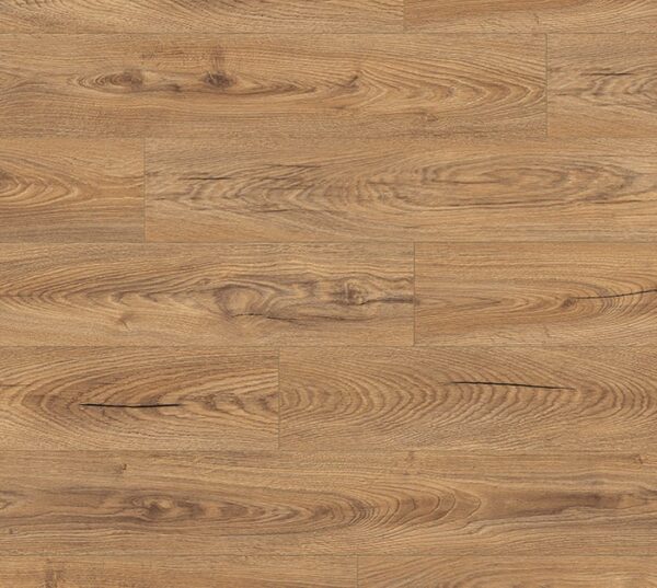 K476 Inca Carpenter oak
