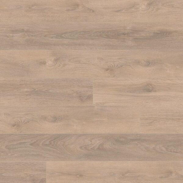 8575 Blonde Oak
