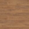 8573 Harlech Oak