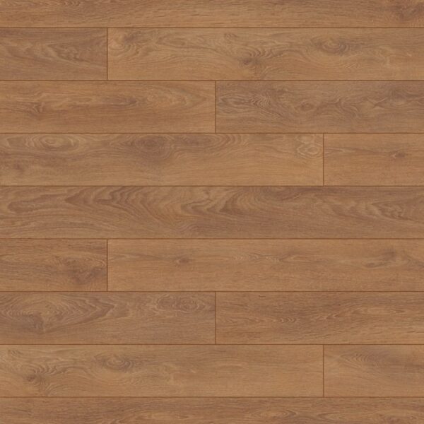 8573 Harlech Oak