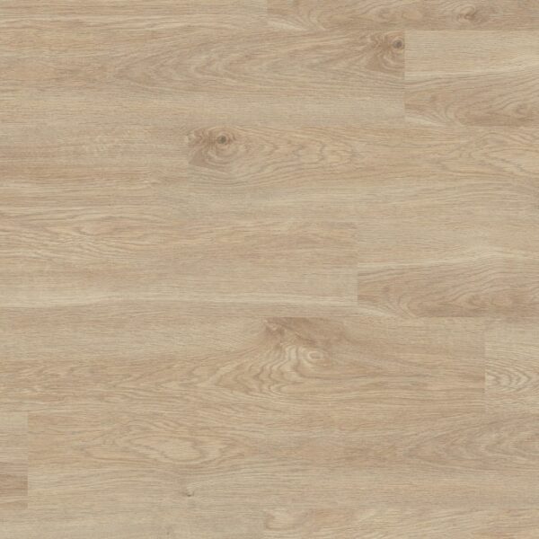 k406 Eurus Oak