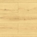 D50564 Dąb Positano