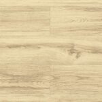 D50514 Dąb Pampeluna