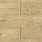 D80314 Dąb Santander