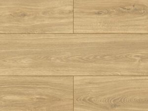 D40394 Dąb Delicato