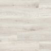 5953 Chantilly Oak