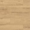 K326 Sundance Oak