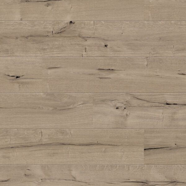 0272 Bristol Oak