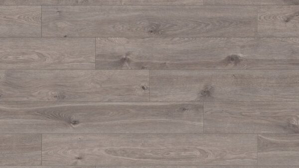 1531 Baltic Oak