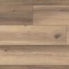 1538 Toronto Oak