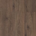 D 3793 Dąb Adriatyk